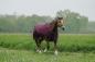 Preview: Equitheme "TYREX 1200D", 50g, Standard-Schnitt, Bordeaux